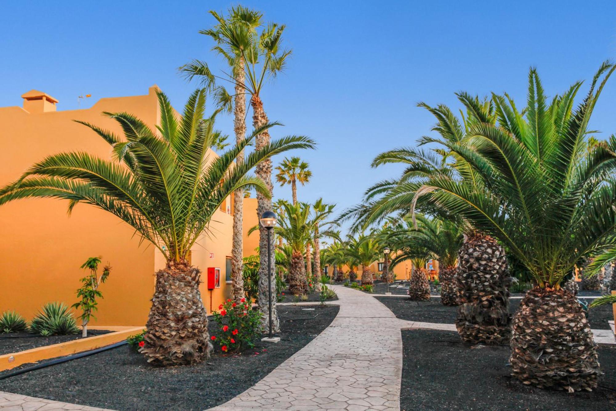 Apartamento Papagayo Корралехо Екстер'єр фото